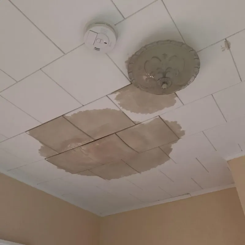 Ceiling Water Damage Repair in Shrewsbury, MA