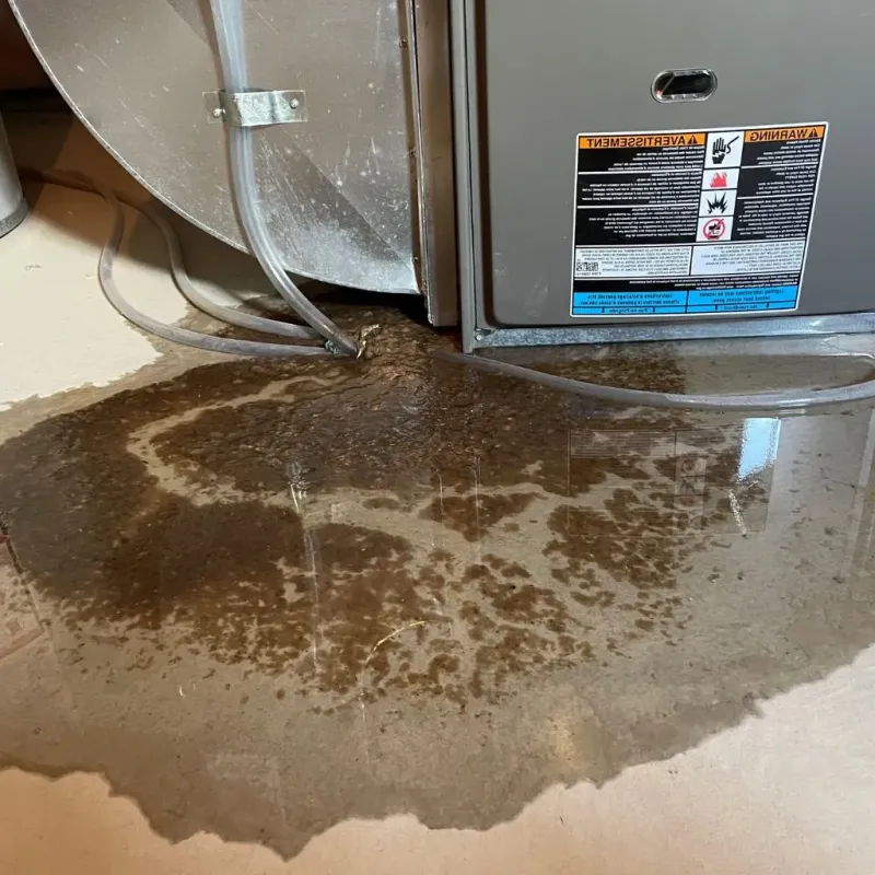 Pipe Burst and Leak Restoration in Shrewsbury, MA